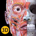 Anatomy 3D Atlas official logo