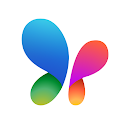 MSN official logo