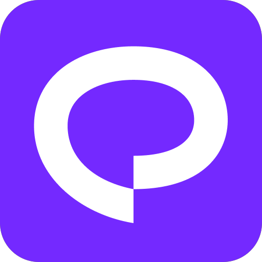 Praktika official logo