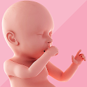 Pregnancy Tracker & Day by Day official logo
