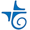 telebirr official logo