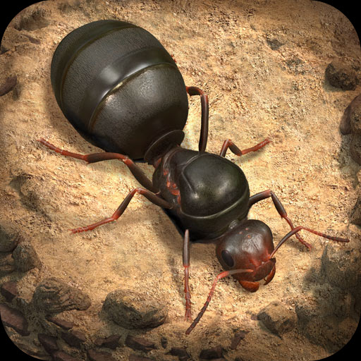 The Ants official logo